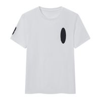 A13