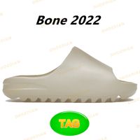 07 Bone 2022