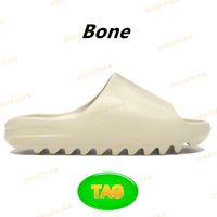 03 Bone